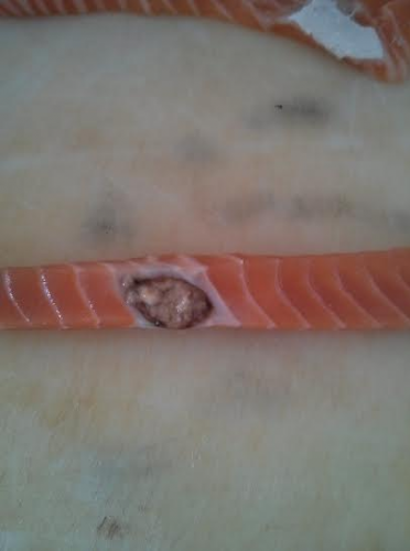 post-1932-0-29091600-1403744601_thumb.pn