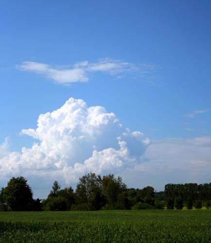 post-184-016083900 1280360667_thumb.jpg