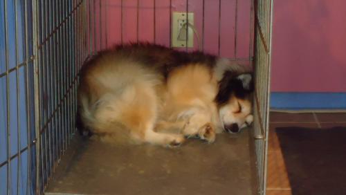 post-23-005715700 1283194940_thumb.jpg