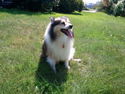 post-23-013454200 1283190724_thumb.jpg