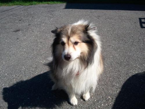 post-23-027721300 1283190697_thumb.jpg