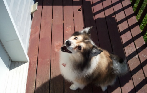 post-23-063400800 1283190757_thumb.png