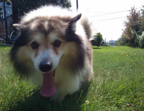 post-23-074900700 1283190713_thumb.png