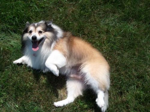 post-23-098555800 1283190786_thumb.jpg