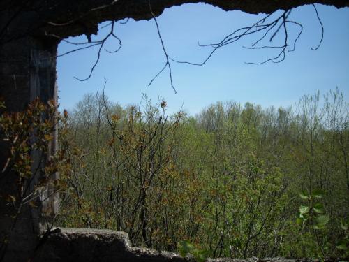 post-246-036679200 1283212239_thumb.jpg