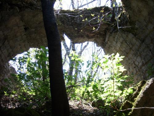 post-246-037438000 1283212078_thumb.jpg