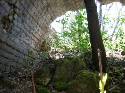 post-246-088768500 1283212120_thumb.jpg