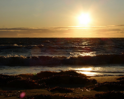 post-246-009917700 1313181722_thumb.png