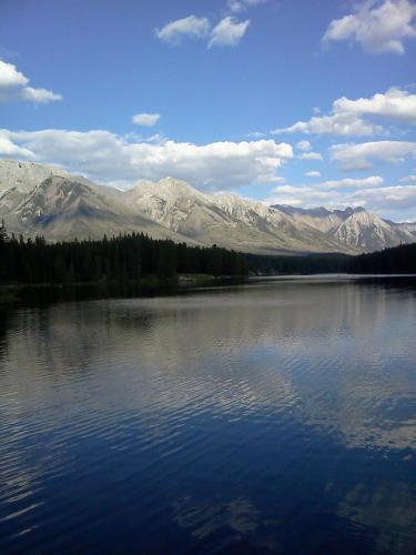 post-1932-0-39410800-1344704107_thumb.jp