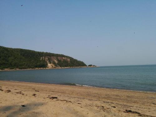 post-10410-0-41303900-1439851352_thumb.j