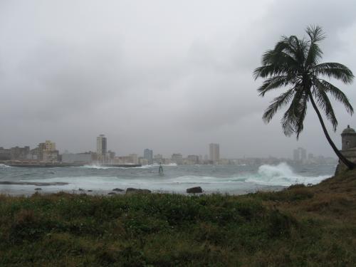 post-241-038033000 1284420309_thumb.jpg