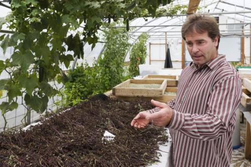 post-133-005058200 1316884131_thumb.jpg