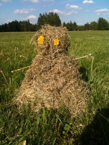 post-13-056509400 1288017406_thumb.jpg