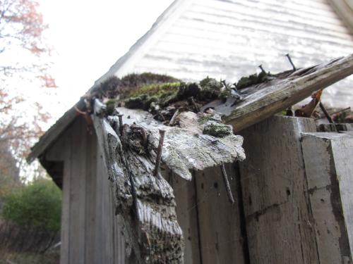 post-24-057762100 1288035128_thumb.jpg