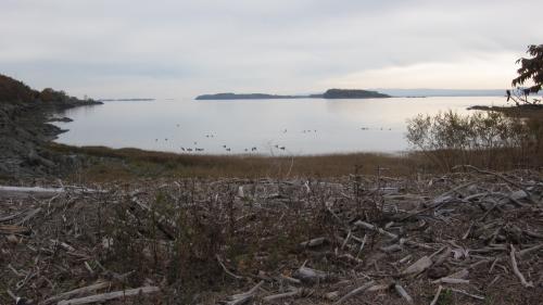 post-24-073434800 1288035195_thumb.jpg