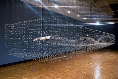 post-246-082030900 1287809880_thumb.jpg