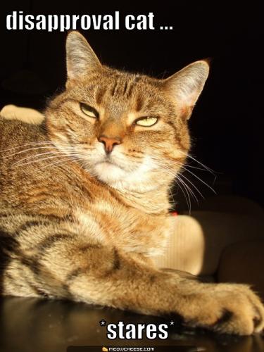 post-495-041851100 1286417202_thumb.jpg