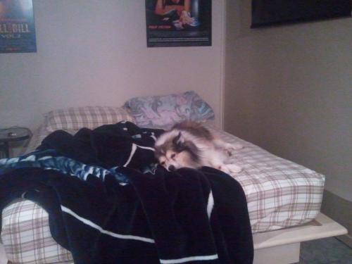 post-23-061556900 1290074487_thumb.jpg