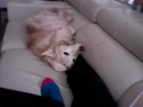 post-241-000315000 1289172543_thumb.jpg