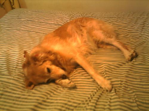 post-241-000736000 1289172746_thumb.jpg