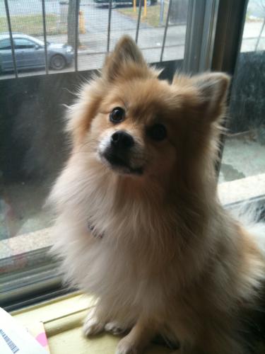 post-3680-021260600 1289358657_thumb.jpg