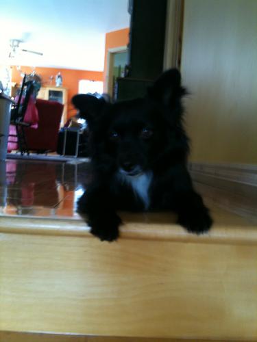 post-3680-095955800 1289358713_thumb.jpg