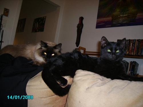 post-401-052211700 1289243918_thumb.jpg