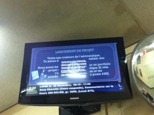 post-495-097128000 1291085233_thumb.jpg