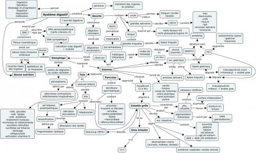 post-7403-0-01617700-1352516627_thumb.jp