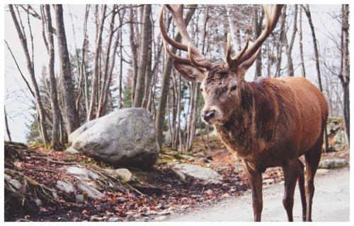 post-8261-0-69363500-1448294819_thumb.jp