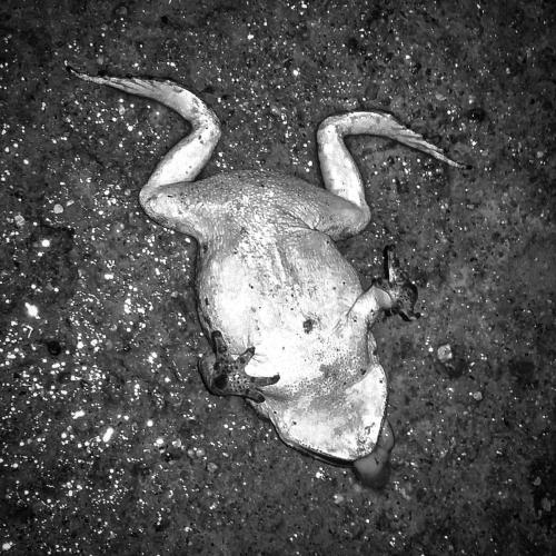 post-9282-0-12313900-1447976979_thumb.jp