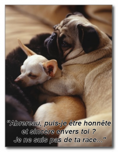 post-9929-0-02691100-1447023159_thumb.pn