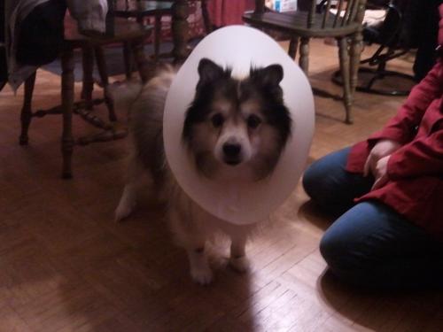 post-23-012765100 1292277924_thumb.jpg