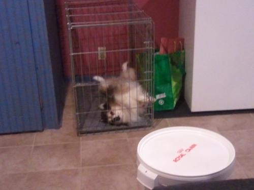 post-23-042294000 1292277952_thumb.jpg