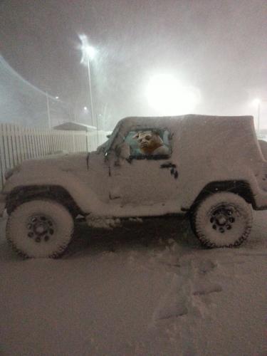 post-4761-0-82932200-1449203030_thumb.jp