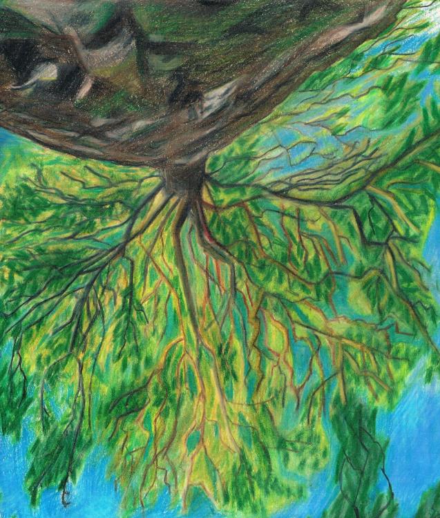 56c683fe5ba67_001(2).thumb.jpg.2f35e4e38