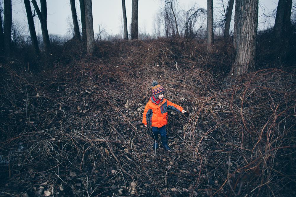 0Q7A8358-Modifier.thumb.jpg.9c9687fa8390