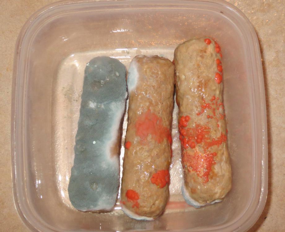 IMG_0276.thumb.jpg.b40caa161a1128edb2ee4