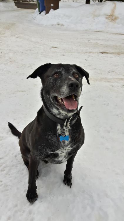 2017-02-19 12.21.23.jpg