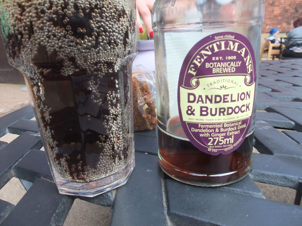 1200px-Dandelion_and_burdock.thumb.jpg.933900ed211d47681356d2ae67a416fe.jpg