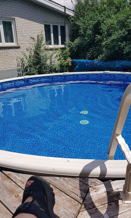 20190629_134252 (002).jpg