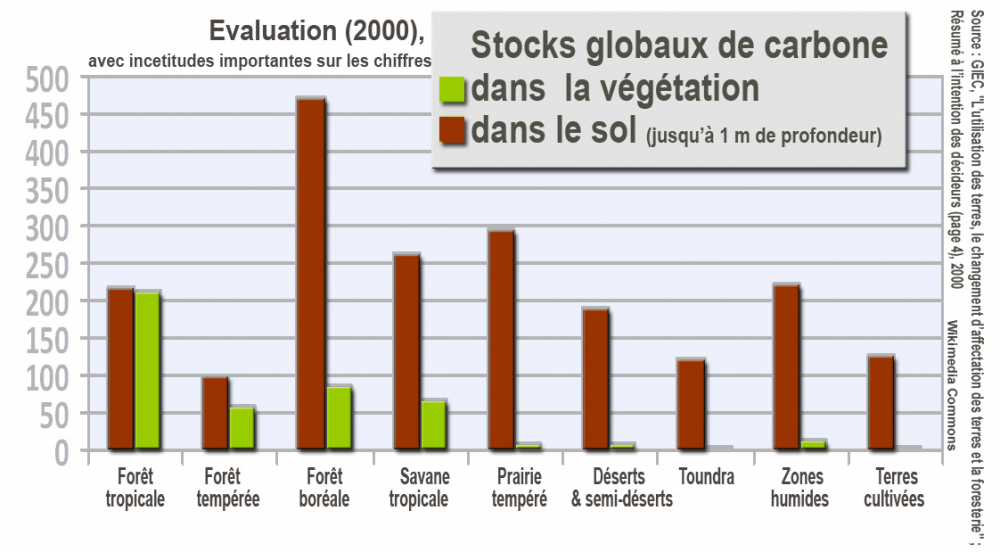 401864975_IPCCStockCarboneSolsVgtationFr.thumb.jpg.23975f0d67dd93e25244e296da6e21b9.jpg