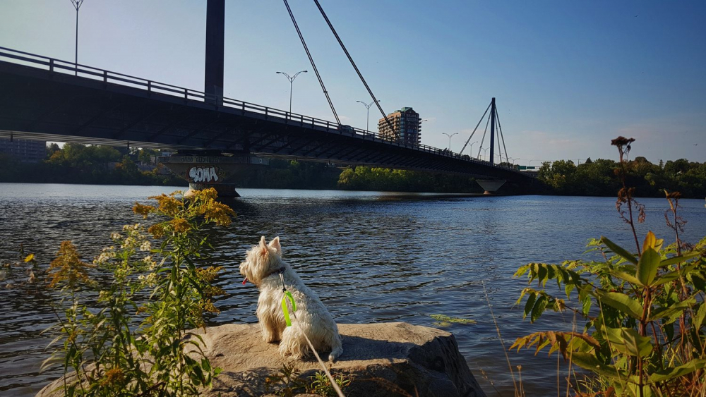 2019-09-21 05.31.16 2.jpg