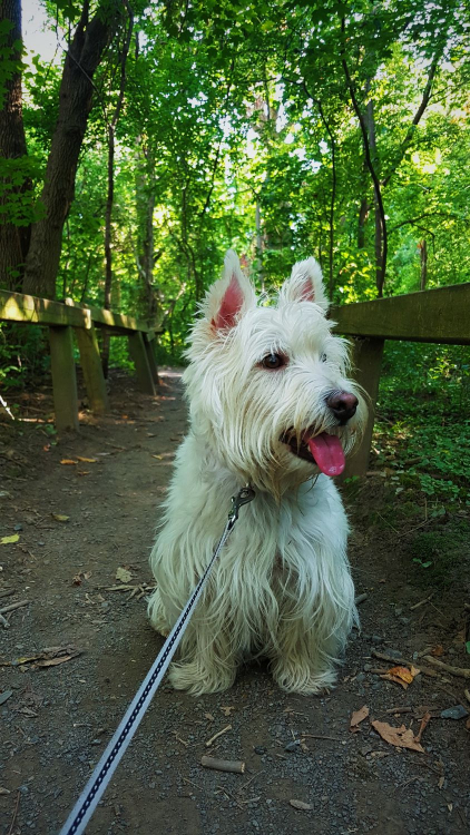 2019-09-21 05.31.17 1.jpg