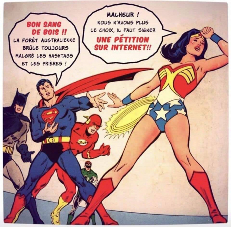 82195575_10218403162809196_3022089523774357504_n (1).jpg