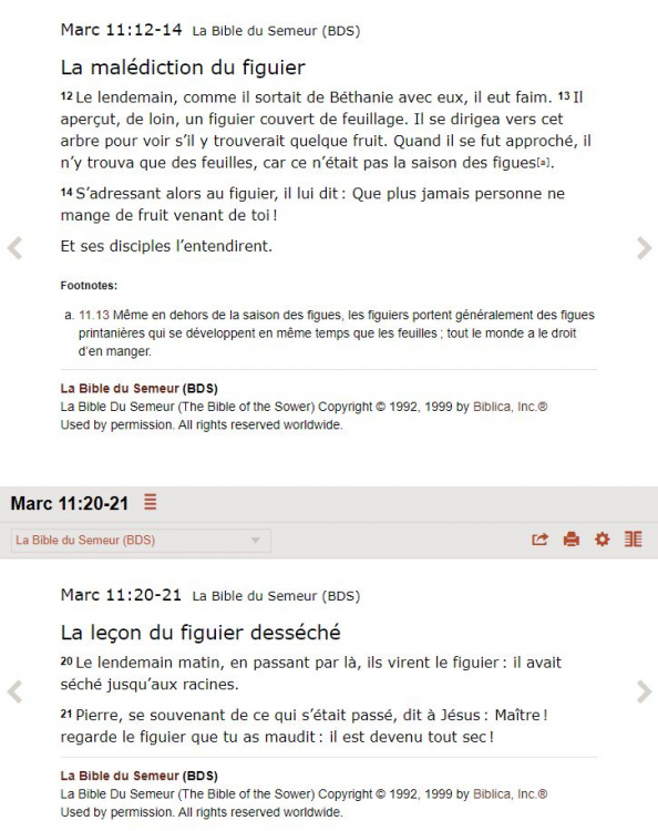 jesus vs figuier.jpg