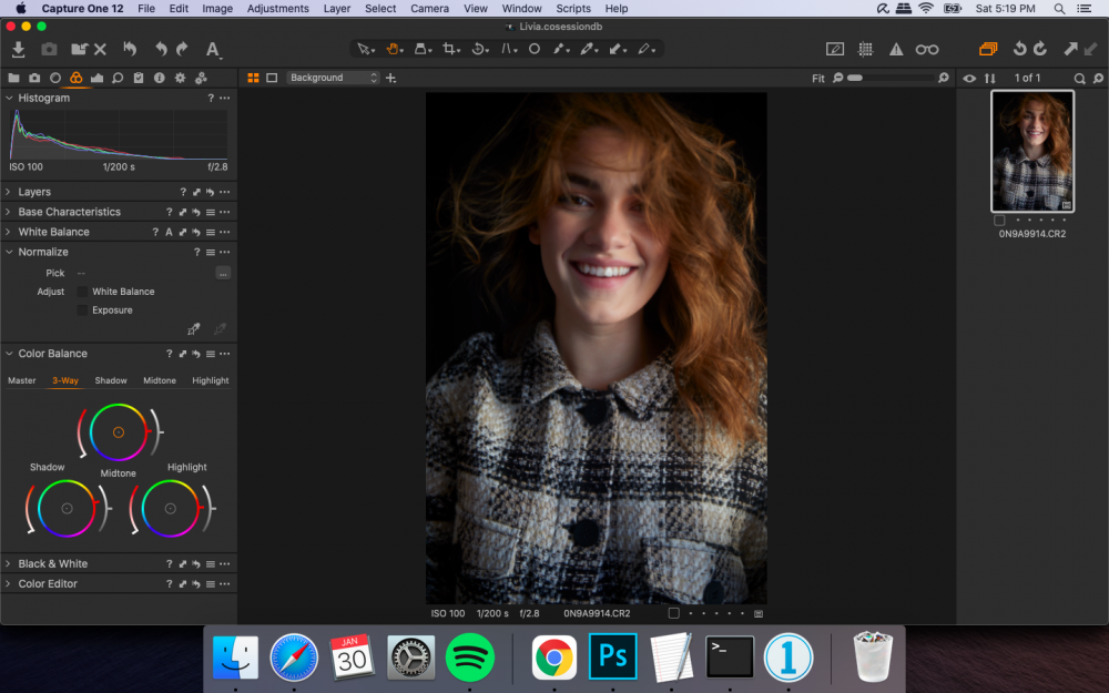 Screen Shot 2021-01-30 at 5.19.42 PM.png