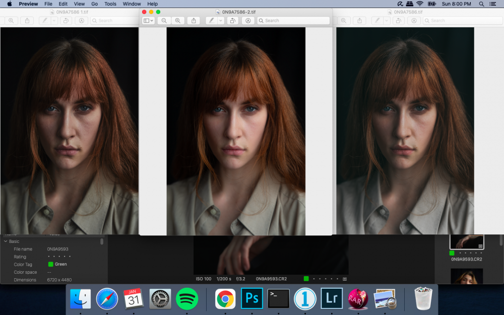 Screen Shot 2021-01-31 at 8.00.39 PM.png