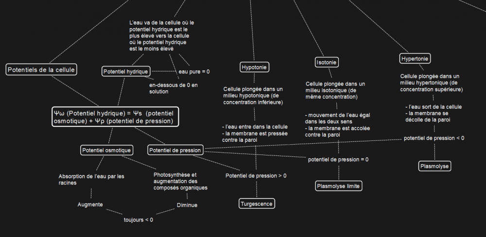 carte_mentale2.thumb.PNG.d90b996d35026f647cfeb18e4195d125.PNG