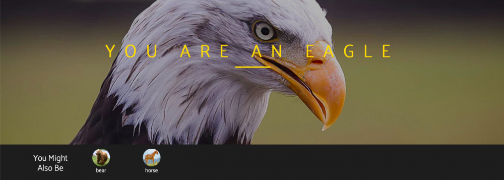 Screen Shot 2021-09-13 at 9.17.53 PM.png